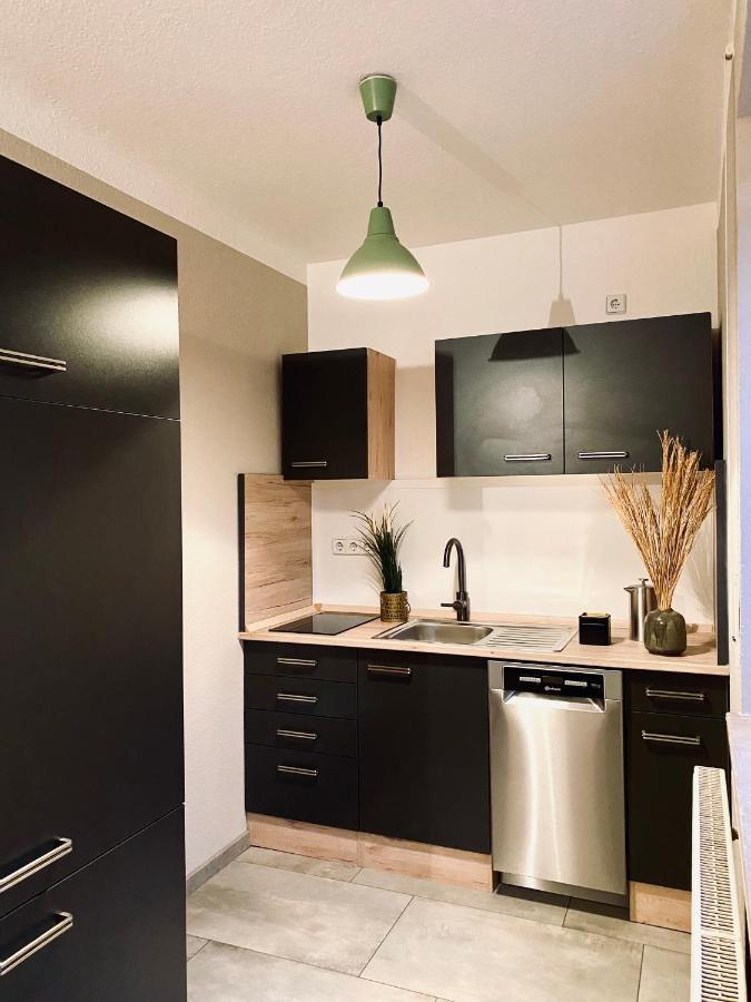 Saniertes Studio - Elisa - Mit Balkon, Wlan, Smart-Tv & Kueche In City-Naehe Erfurt Eksteriør bilde